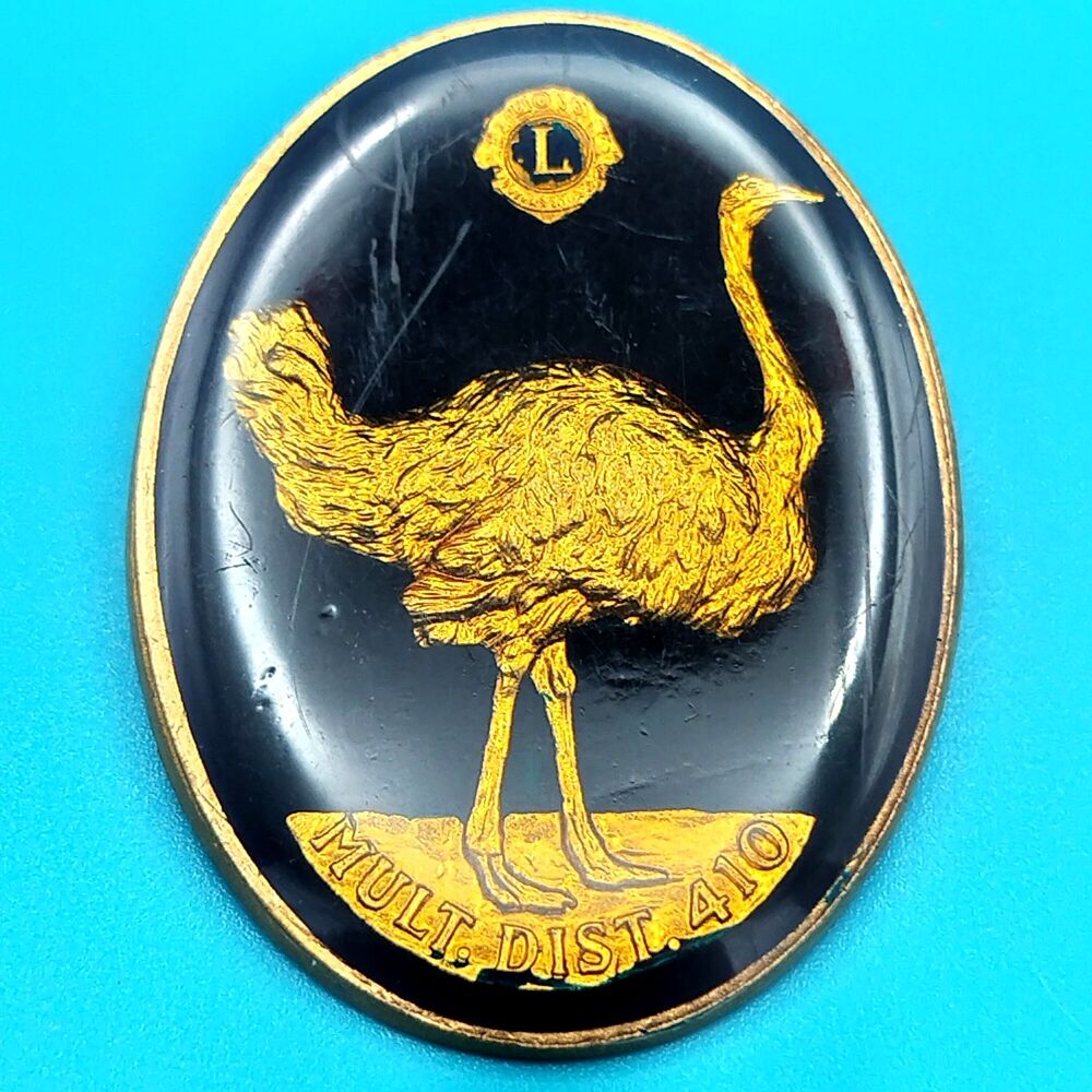 Lions Club Gold Ostrich Vintage Pin Mult. Dist. 410 Oval